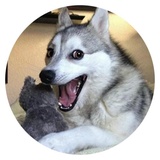 Sticker 2