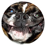 Sticker 20