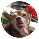 Sticker 24