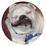 Sticker 6