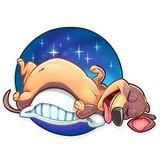 Sticker 26