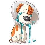 Sticker 7