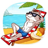 Sticker 24