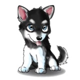 Tobbi Husky