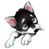Sticker 12