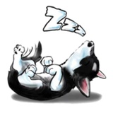 Sticker 13