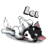 Sticker 7