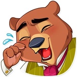 Todd Bear