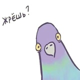 Sticker 25