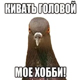 Sticker 4