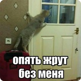 Sticker 48
