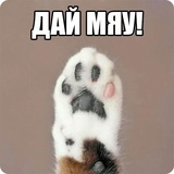 Sticker 49