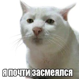 Sticker 51
