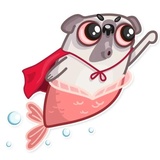 Sticker 17