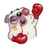 Sticker 29