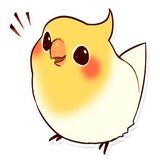 Coco Bird sticker pack