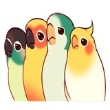 Sticker 12