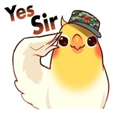Sticker 8