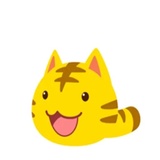 Yellow Kitten