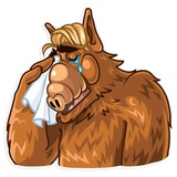 Sticker 24