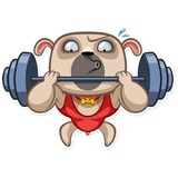 Sticker 21