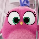 Angry Birds Photos