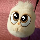 Sticker 11