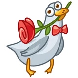 Sticker 31