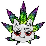 Cat Trip