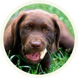 Sticker 12
