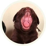 Sticker 3