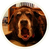 Sticker 4