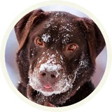 Sticker 5