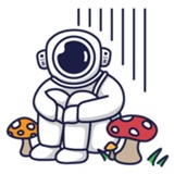 Sticker 12