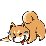 Sticker 5