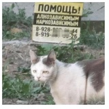 Sticker 20