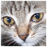 Sticker 24