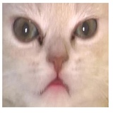 Sticker 29