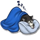 Sticker 13