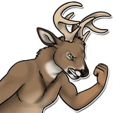 Sticker 37