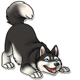 Sticker 6