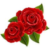 Sticker 41