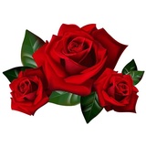 Sticker 42
