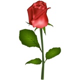 Sticker 45