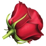 Sticker 46