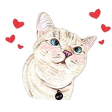 Hug me pls - Iam your cat sticker pack