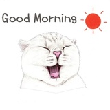 Sticker 17