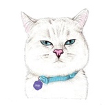 Sticker 23