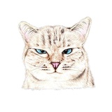 Sticker 24