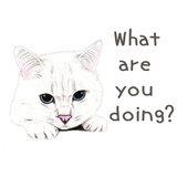 Sticker 27